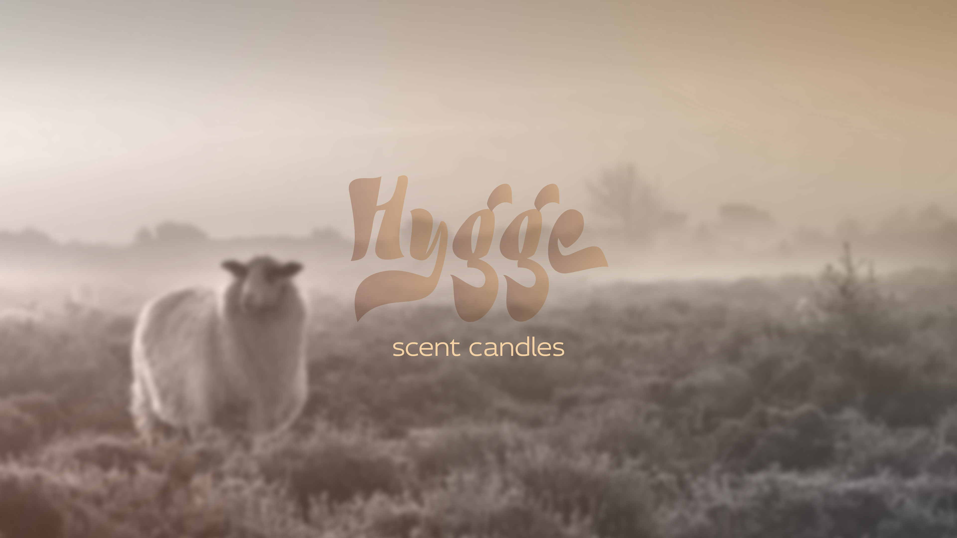 Hygge by aoie studio, 2023. Manufacturer of Hygge home fragrance candles.